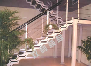 �ľ�p������